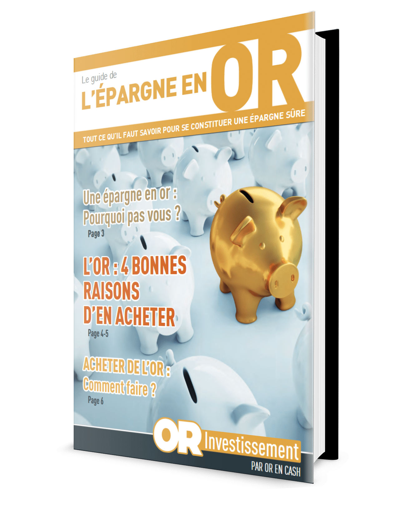 guide or investissement